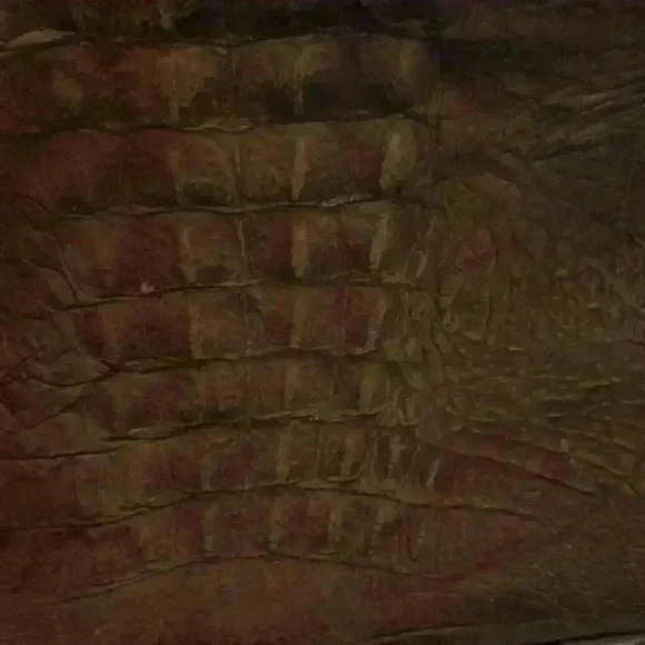 Vintage  Vineto Reptile skin leather bag. Briefcase style purse with long strap. - Picture 3 of 3